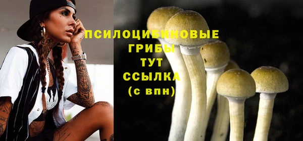 трава Алзамай