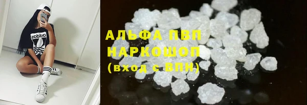 СК Алексин