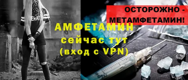 СК Алексин